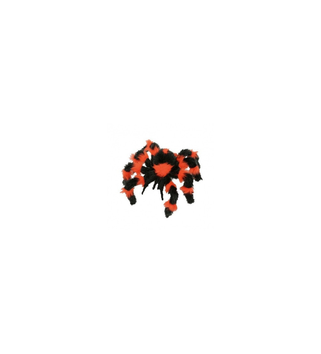 Pavouk černo-oranžový