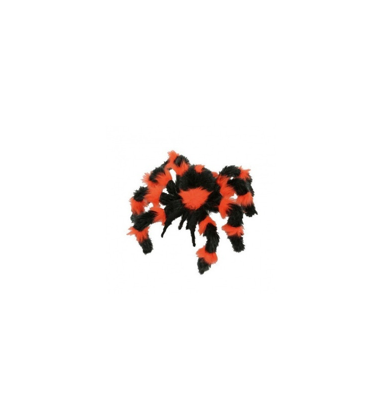 Pavouk černo-oranžový